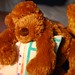Jerry Slack Photo 22