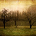 Jennifer Desjardins Photo 14