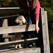 Amanda Duffy Photo 39