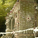Beth Carter Photo 14