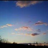 Paul Witt Photo 23