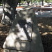 John Stanford Photo 25