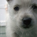 Terrie Roberts Photo 28