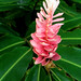 Ting Lei Photo 15