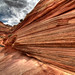 Susan Dodson Photo 15