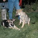 Jesse Sheppard Photo 39
