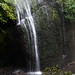 Stephen Fall Photo 16