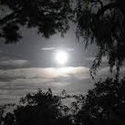 Christine Mcclung Photo 3