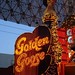 Karen Colyer Photo 8