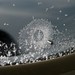 Crystal Dickinson Photo 17