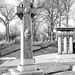 Frederick Davies Photo 9