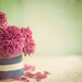 Rose Ware Photo 15