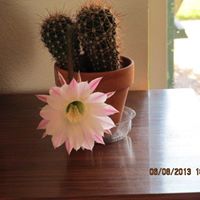 Lisa Ehlers Photo 16