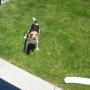 Donna Rhoads Photo 11
