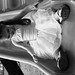 Kelly Dailey Photo 9