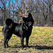 Alyssa Smart Photo 1