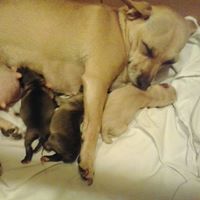 Kimberly Mcdaniel Photo 8