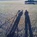 Dean Rhoades Photo 7