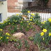 Judith Morris Photo 21