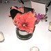 Amy Fuchs Photo 21