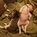 Roger Redden Photo 14
