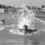 John Harding Photo 31