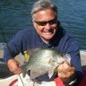 Mark Pollard Photo 7
