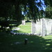 Lincoln Brown Photo 29