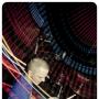 Michael Fay Photo 32