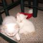 Mary Shuler Photo 8