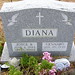Diana Dougherty Photo 17