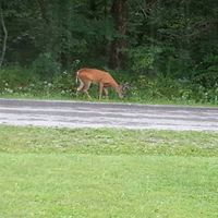 Randy Wolfe Photo 12