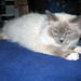 Linda Swain Photo 3