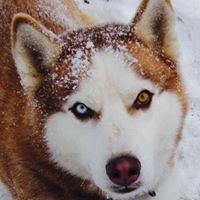 Nancy Wamsley Photo 6