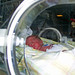 Ann Weeks Photo 33