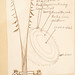 Linda Field Photo 40