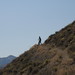 Connie Foley Photo 22