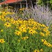 Susan Sager Photo 21
