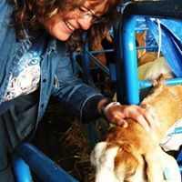 Deborah Clemens Photo 3