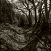 Sara Hedges Photo 20