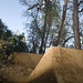 Marcus Inman Photo 4