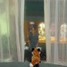 Francine Fox Photo 7