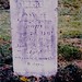 Mary Neely Photo 41