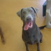 Sadie Davis Photo 41