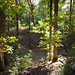 Lester Davis Photo 27