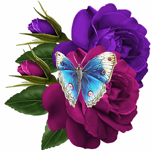 Sanjaykumar Singh Photo 8