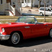 Charles Patrick Photo 49