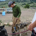 Jamie Wolf Photo 15