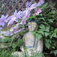 Debra Rayburn Photo 11