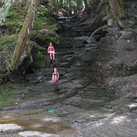 Julie Griffis Photo 10